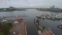 ./images/victoria/wharf/20200428/wharf20200428_152453.jpg