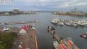 ./images/victoria/wharf/20200429/wharf20200429_084954.jpg