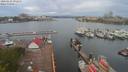 ./images/victoria/wharf/20200429/wharf20200429_091459.jpg