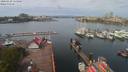 ./images/victoria/wharf/20200429/wharf20200429_114952.jpg