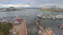 ./images/victoria/wharf/20200429/wharf20200429_154456.jpg