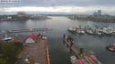 ./images/victoria/wharf/20200429/wharf20200429_155956.jpg