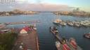 ./images/victoria/wharf/20200430/wharf20200430_062449.jpg