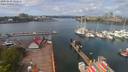 ./images/victoria/wharf/20200430/wharf20200430_121452.jpg