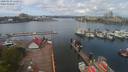 ./images/victoria/wharf/20200430/wharf20200430_121955.jpg
