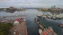 ./images/victoria/wharf/20200501/wharf20200501_080950.jpg