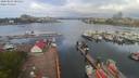 ./images/victoria/wharf/20200501/wharf20200501_084452.jpg