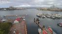 ./images/victoria/wharf/20200501/wharf20200501_091449.jpg