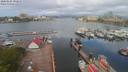 ./images/victoria/wharf/20200501/wharf20200501_091952.jpg