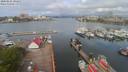 ./images/victoria/wharf/20200501/wharf20200501_092455.jpg