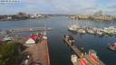 ./images/victoria/wharf/20200501/wharf20200501_102452.jpg