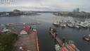 ./images/victoria/wharf/20200501/wharf20200501_151950.jpg