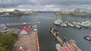 ./images/victoria/wharf/20200502/wharf20200502_151456.jpg