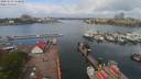 ./images/victoria/wharf/20200503/wharf20200503_105449.jpg