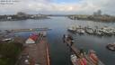 ./images/victoria/wharf/20200503/wharf20200503_105952.jpg