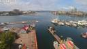 ./images/victoria/wharf/20200503/wharf20200503_122958.jpg