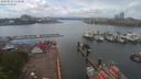 ./images/victoria/wharf/20200503/wharf20200503_134958.jpg