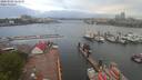 ./images/victoria/wharf/20200506/wharf20200506_062959.jpg