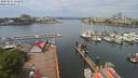 ./images/victoria/wharf/20200511/wharf20200511_121456.jpg