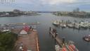 ./images/victoria/wharf/20200511/wharf20200511_131956.jpg