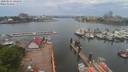 ./images/victoria/wharf/20200511/wharf20200511_140453.jpg