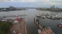 ./images/victoria/wharf/20200511/wharf20200511_144951.jpg