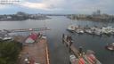 ./images/victoria/wharf/20200511/wharf20200511_155450.jpg