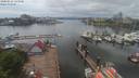 ./images/victoria/wharf/20200512/wharf20200512_142456.jpg