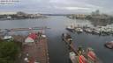 ./images/victoria/wharf/20200513/wharf20200513_083949.jpg