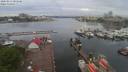 ./images/victoria/wharf/20200513/wharf20200513_084452.jpg