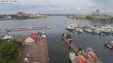 ./images/victoria/wharf/20200513/wharf20200513_085458.jpg