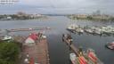 ./images/victoria/wharf/20200513/wharf20200513_085951.jpg