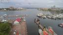 ./images/victoria/wharf/20200513/wharf20200513_090957.jpg