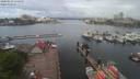 ./images/victoria/wharf/20200513/wharf20200513_105451.jpg