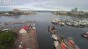 ./images/victoria/wharf/20200514/wharf20200514_080452.jpg