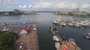 ./images/victoria/wharf/20200514/wharf20200514_110952.jpg