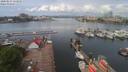 ./images/victoria/wharf/20200514/wharf20200514_111957.jpg