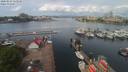 ./images/victoria/wharf/20200514/wharf20200514_113949.jpg