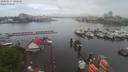 ./images/victoria/wharf/20200517/wharf20200517_085454.jpg