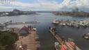 ./images/victoria/wharf/20200517/wharf20200517_152958.jpg