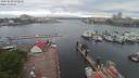 ./images/victoria/wharf/20200520/wharf20200520_073957.jpg