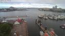 ./images/victoria/wharf/20200520/wharf20200520_085454.jpg