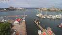 ./images/victoria/wharf/20200520/wharf20200520_104953.jpg