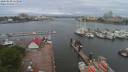 ./images/victoria/wharf/20200520/wharf20200520_111951.jpg