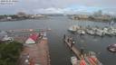 ./images/victoria/wharf/20200521/wharf20200521_094958.jpg