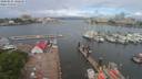 ./images/victoria/wharf/20200521/wharf20200521_095452.jpg