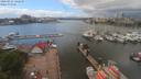 ./images/victoria/wharf/20200521/wharf20200521_141449.jpg