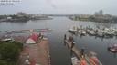 ./images/victoria/wharf/20200524/wharf20200524_092950.jpg