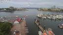 ./images/victoria/wharf/20200524/wharf20200524_113959.jpg