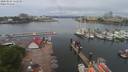 ./images/victoria/wharf/20200524/wharf20200524_114452.jpg
